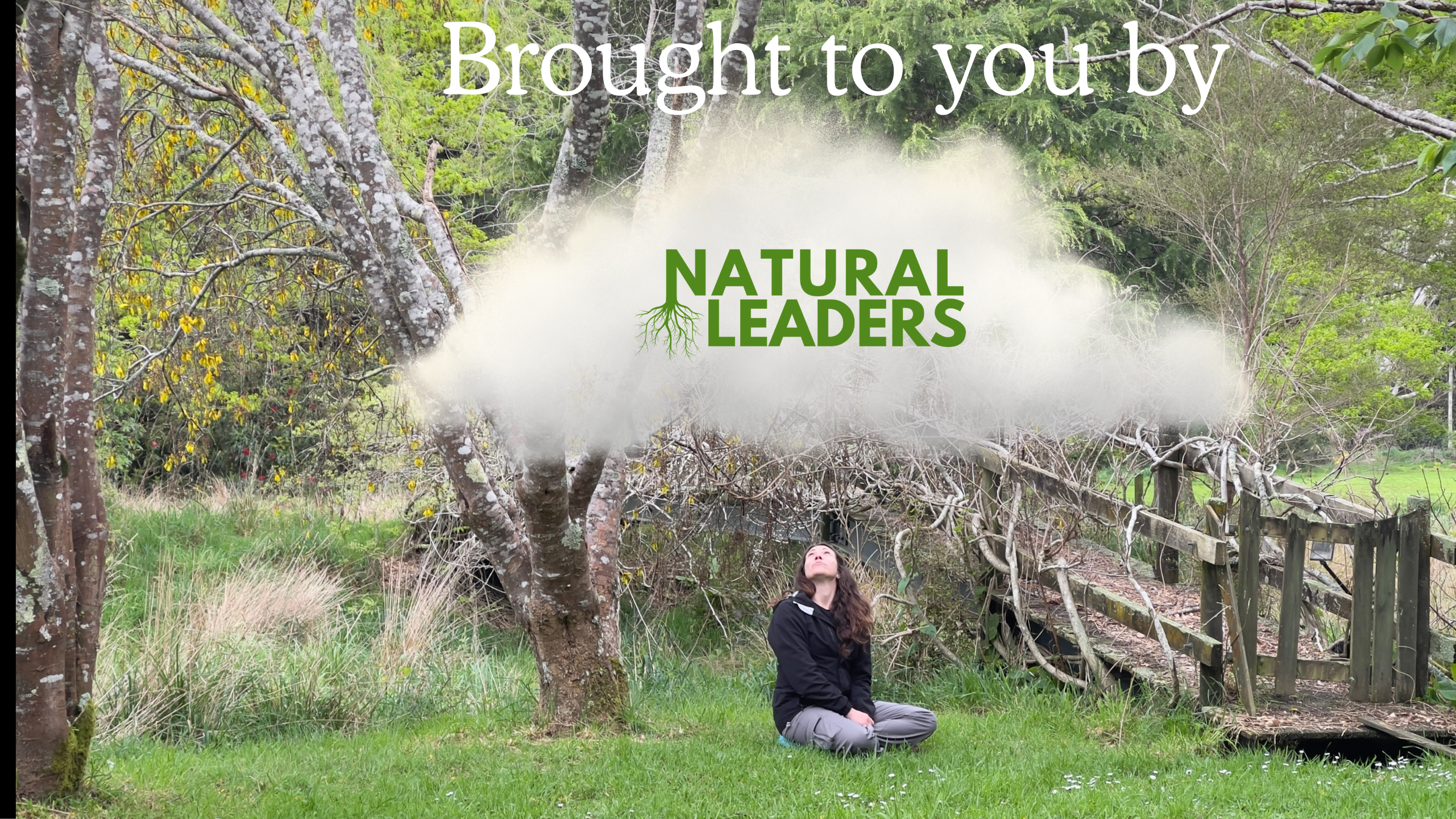 Brought to you by (3)