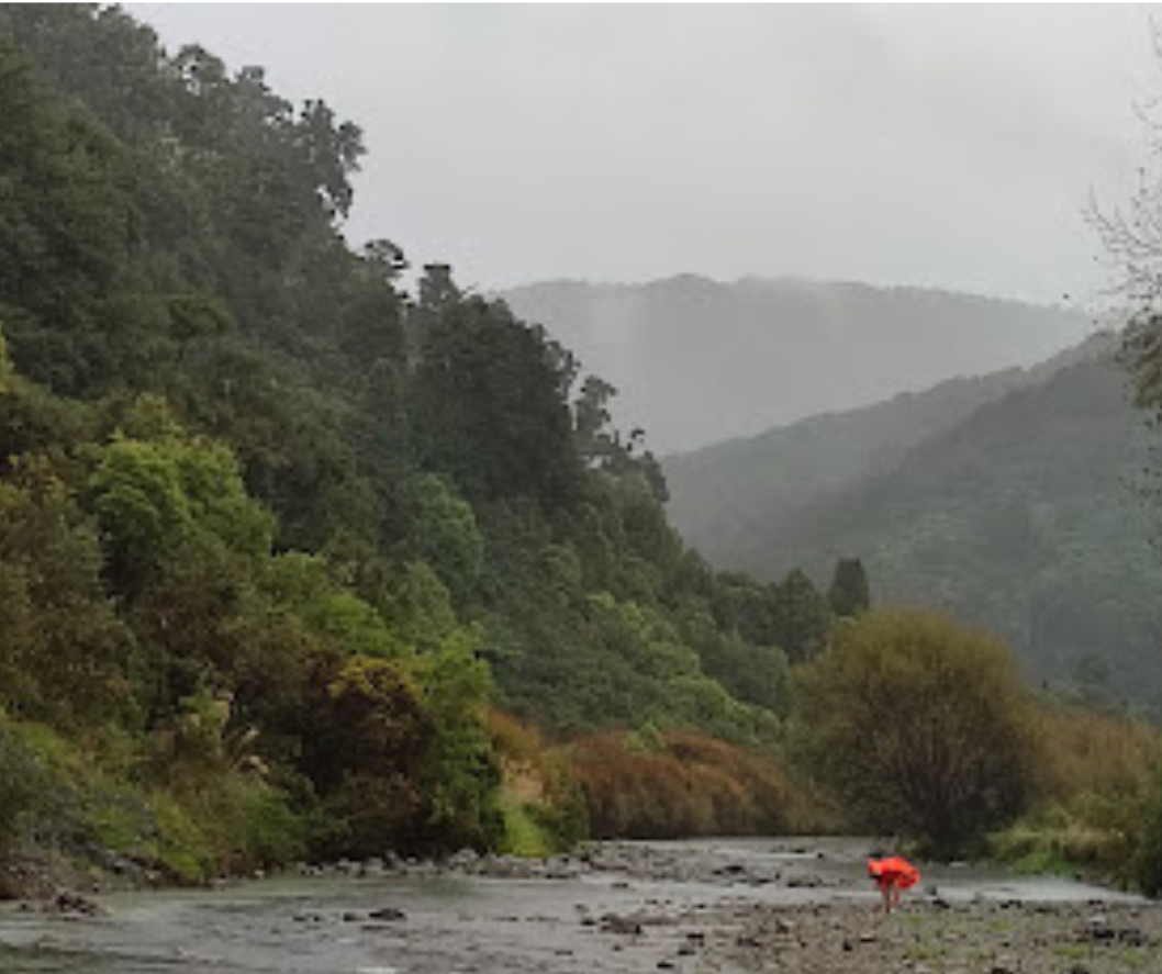 Untitled design (17)