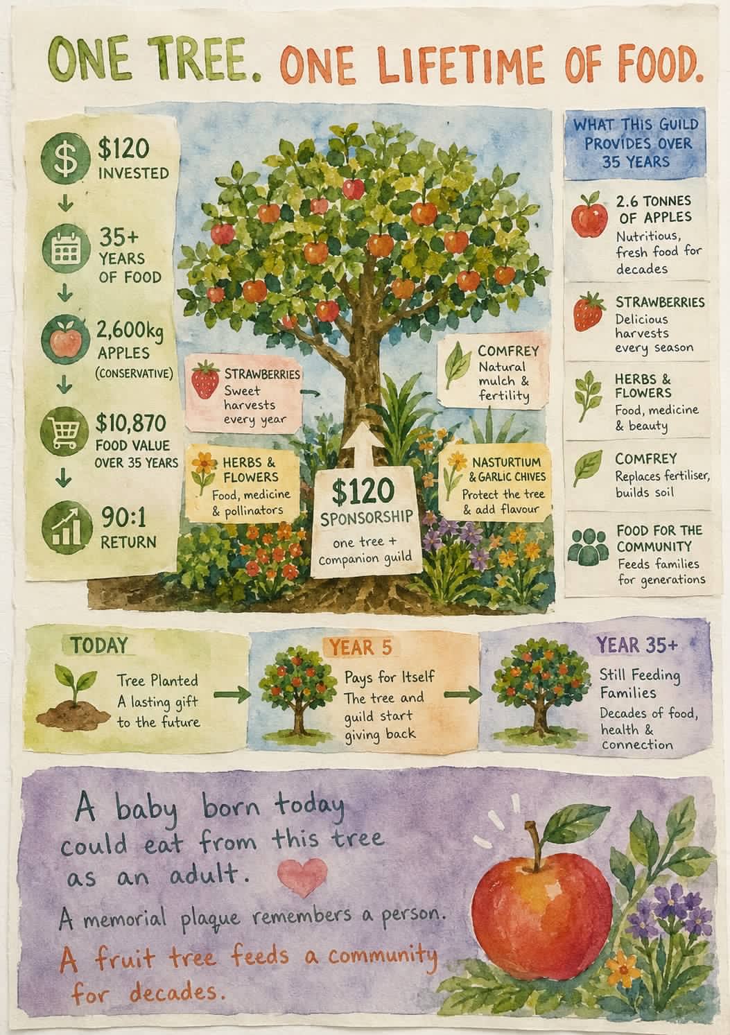 ROI apple tree